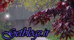 شروع دور تازه بارش ها در کشور